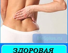 Здоровая спина - прочный фундамент всего организма 7 alt="здоровая спина"
